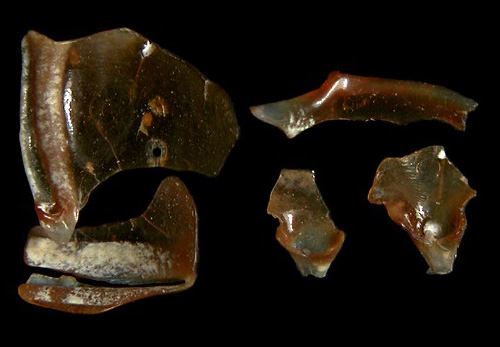 Cavolinia tridentata: shell fragments